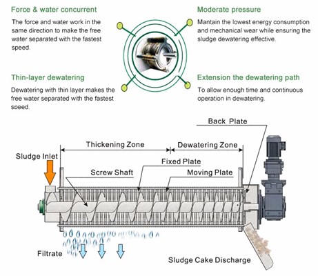 Screw Press Sludge Dewatering Machine